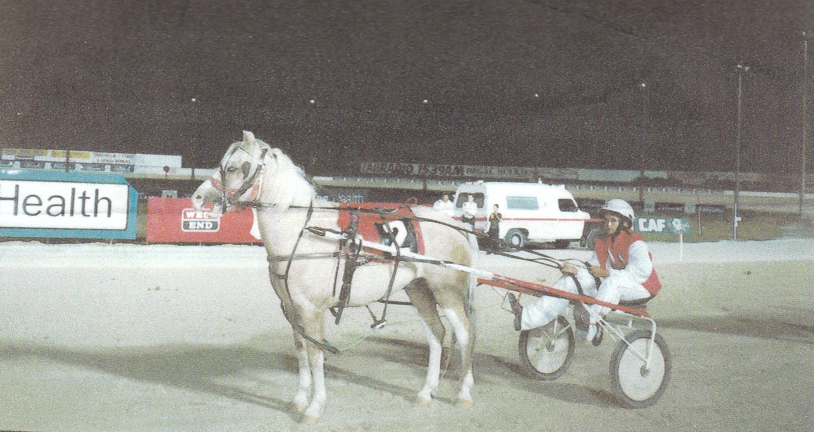 South Australian Harness Racing Pony Association